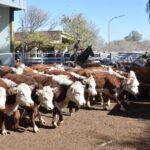 WhatsApp Image 2022-05-20 at 8.37.28 PM