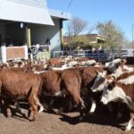 WhatsApp Image 2022-05-20 at 8.37.29 PM