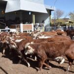 WhatsApp Image 2022-05-20 at 8.37.30 PM