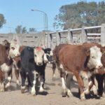 WhatsApp Image 2022-05-20 at 8.37.31 PM