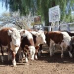 WhatsApp Image 2022-05-20 at 8.37.32 PM (1)