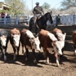 WhatsApp Image 2022-05-20 at 8.37.32 PM