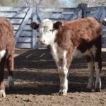 WhatsApp Image 2022-05-20 at 8.37.35 PM (2)