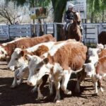 WhatsApp Image 2022-05-20 at 8.37.36 PM (1)