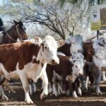 WhatsApp Image 2022-05-20 at 8.37.36 PM (2)