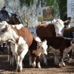 WhatsApp Image 2022-05-20 at 8.37.37 PM