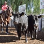 WhatsApp Image 2022-05-20 at 8.37.37 PM (2)