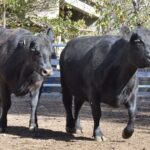 WhatsApp Image 2022-05-20 at 8.37.38 PM