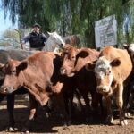 WhatsApp Image 2022-05-20 at 8.37.39 PM (1)