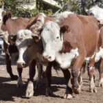 WhatsApp Image 2022-05-20 at 8.37.39 PM (2)