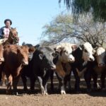 WhatsApp Image 2022-05-20 at 8.37.43 PM (1)