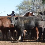 WhatsApp Image 2022-05-20 at 8.37.43 PM (2)