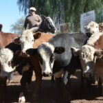 WhatsApp Image 2022-05-20 at 8.37.44 PM (1)