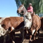 WhatsApp Image 2022-05-20 at 8.37.44 PM