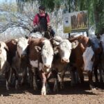 WhatsApp Image 2022-05-20 at 8.37.44 PM (2)