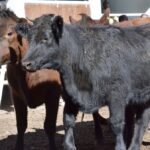 WhatsApp Image 2022-05-20 at 8.37.45 PM (1)