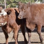 WhatsApp Image 2022-05-20 at 8.37.46 PM (2)