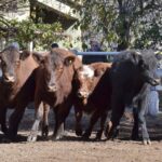 WhatsApp Image 2022-05-20 at 8.37.47 PM (1)