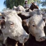 WhatsApp Image 2022-05-20 at 8.37.49 PM (2)