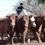 WhatsApp Image 2022-05-20 at 8.37.51 PM (1)