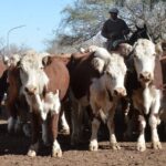 WhatsApp Image 2022-05-20 at 8.37.51 PM (2)