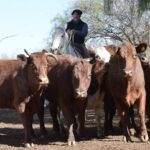 WhatsApp Image 2022-05-20 at 8.37.52 PM (1)