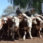 WhatsApp Image 2022-05-20 at 8.37.52 PM