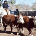 WhatsApp Image 2022-05-20 at 8.38.01 PM