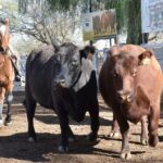 WhatsApp Image 2022-05-20 at 8.38.04 PM (1)