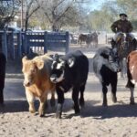 WhatsApp Image 2022-05-20 at 8.38.05 PM (1)