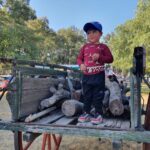 WhatsApp Image 2022-05-22 at 6.23.23 PM