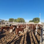 WhatsApp Image 2022-05-22 at 6.25.23 PM