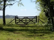 La actividad inmobiliaria se recuperó un 39 % en abril: los motivos del crecimiento