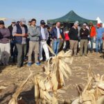 de889222-a8a2-4ea6-85c3-f1ab1a3b5865