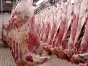 Fuerte baja de los precios de la carne vacuna en el mercado internacional
