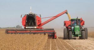 Terminó la cosecha de soja en San Luis con rindes superiores a las expectativas iniciales