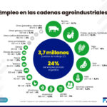 Empleo en las CAI general