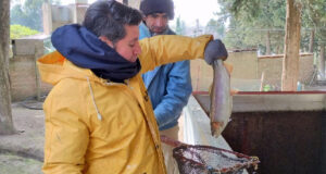 Comenzó la veda de pesca de trucha en toda la provincia de San Luis