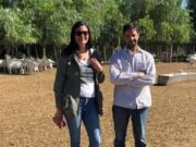 Lograron convertir al queso de cabra mendocino en un producto premium y proyectan abrirse al turismo rural