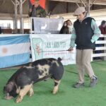 WhatsApp Image 2022-06-05 at 2.16.02 PM (3)