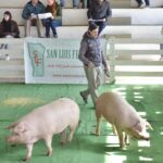 WhatsApp Image 2022-06-05 at 2.16.03 PM