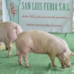 WhatsApp Image 2022-06-05 at 2.16.03 PM (2)