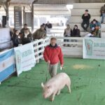 WhatsApp Image 2022-06-05 at 2.16.05 PM (1)