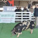 WhatsApp Image 2022-06-05 at 2.16.08 PM (1)