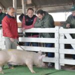 WhatsApp Image 2022-06-05 at 2.16.09 PM (1)