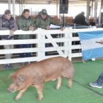 WhatsApp Image 2022-06-05 at 2.16.10 PM (1)