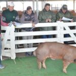 WhatsApp Image 2022-06-05 at 2.16.11 PM (1)