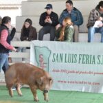 WhatsApp Image 2022-06-05 at 2.16.11 PM (3)