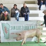 WhatsApp Image 2022-06-05 at 2.16.12 PM