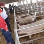 WhatsApp Image 2022-06-05 at 2.16.35 PM (1)